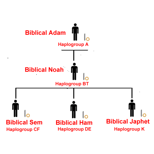 Biblical Adam Haplogroup A - Biblical Noah Haplogroup B - Biblical Ham Haplogroup DE - Biblical Sem Haplogroup CF - Biblical Japher Haplogroup K