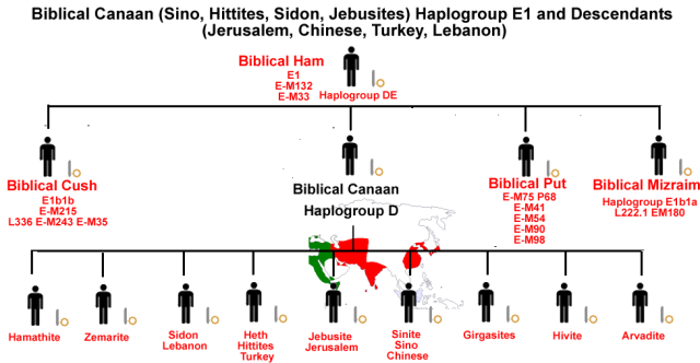 Biblical Canaan (Jerusalem, Chinese, Lebanon, Turkey) Haplogroup D  and Descendants