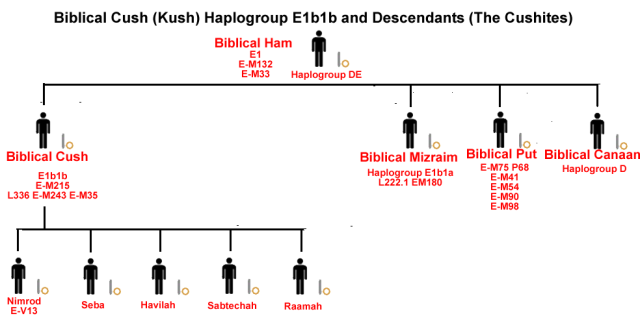 Biblical Cush Haplogroup E1b1b and Descendants 