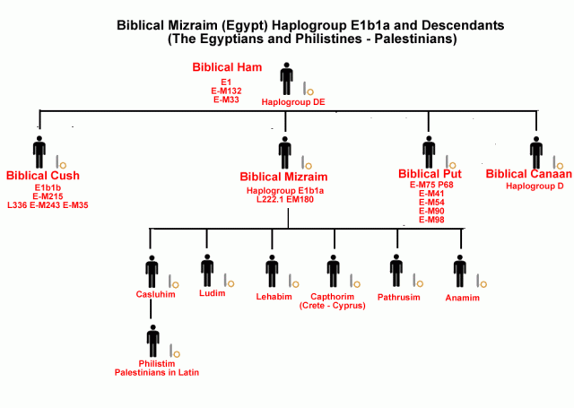 Biblical Mizraim (Egypt and Palestinians) Haplogroup E1b1a  and Descendants