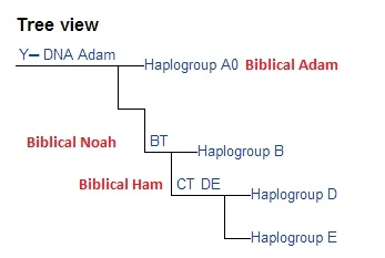 Hamitic Haplogroup CT DE