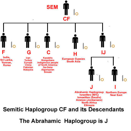 Semitic Haplogroup CF and descendants