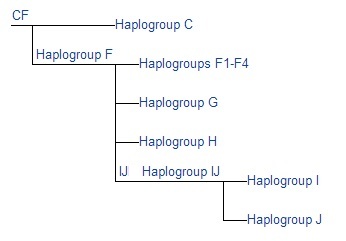 Semitic Haplogroup CF G H I J